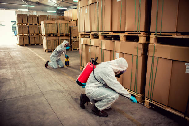 Best Rat Extermination Near Me  in Amarillo, TX