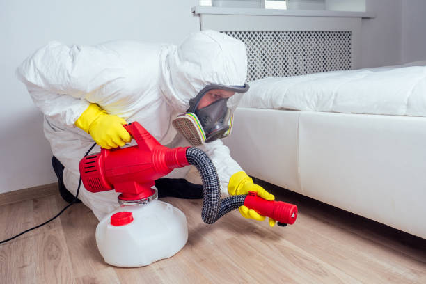 Best Affordable Pest Control Services  in Amarillo, TX