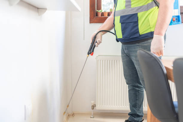 Best Local Pest Control Services  in Amarillo, TX
